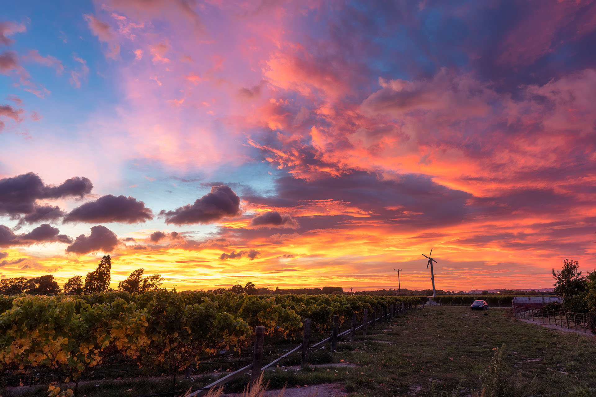 colorful-sky-over-agricultural-field-of-vineyard