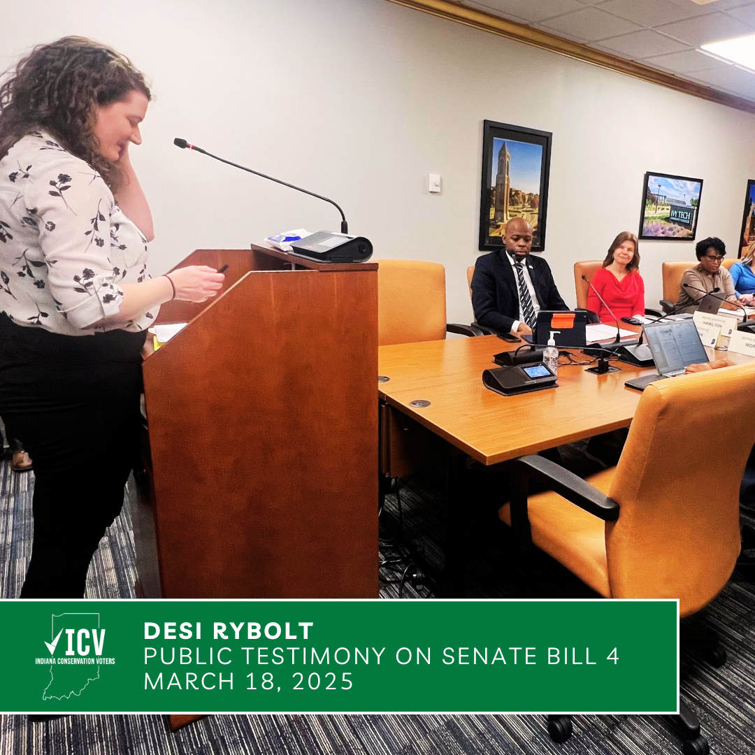photo of Desi Rybolt testifying on Senate Bill 4