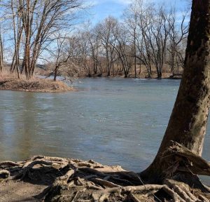 photo of White River